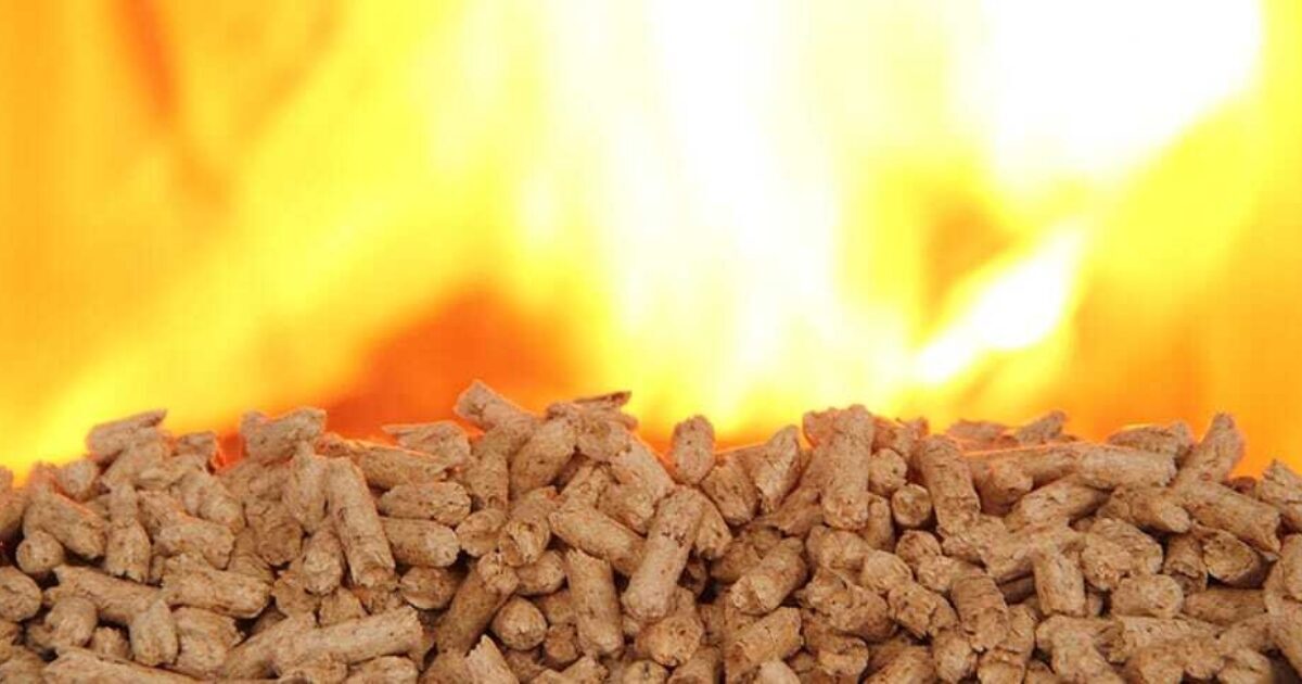 Pellets usufruire del bonus e dove comprare online