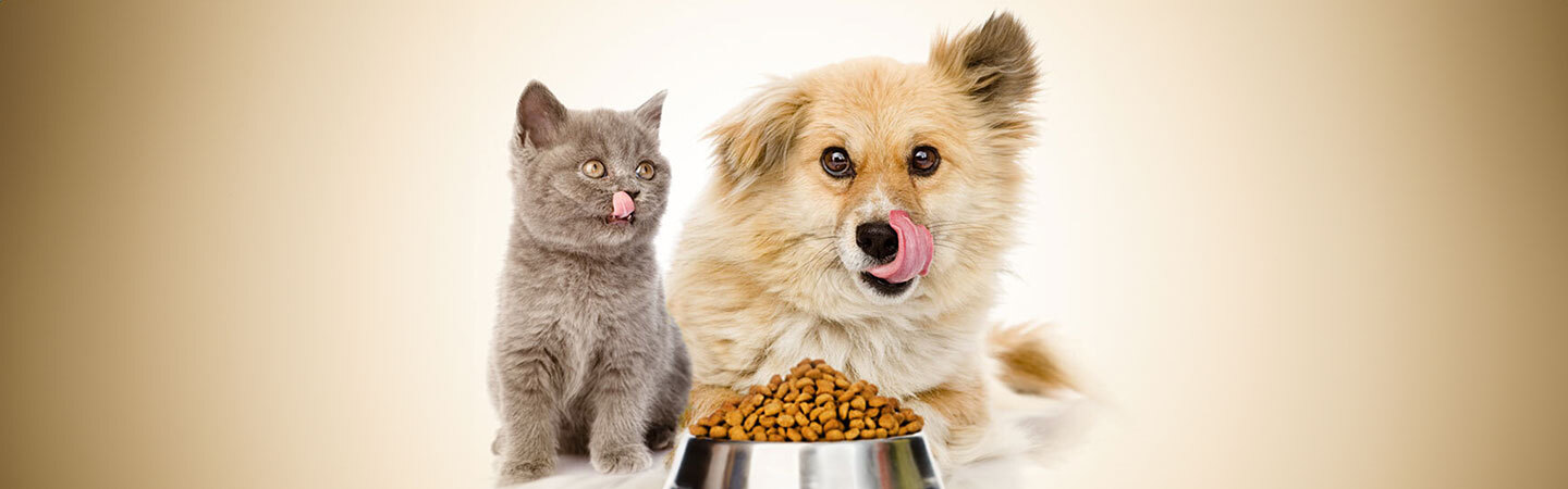 Pet food